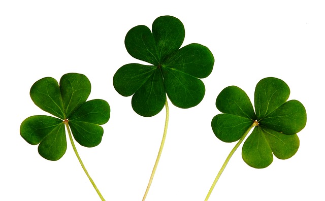 Is the Irish election result ‘bad for Brexit’?