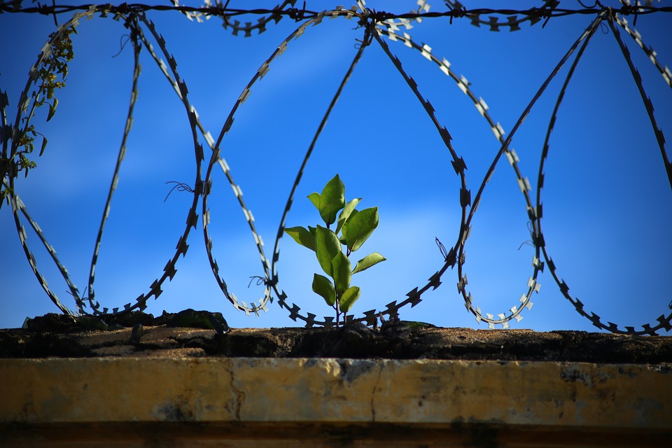 FROM BEHIND THE PAYWALL – a look ahead, for a change!