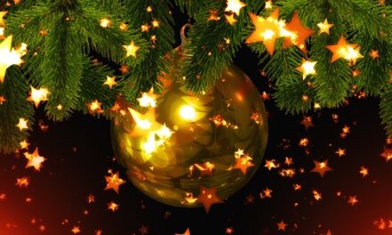 A VERY MERRY CHRISTMAS TO ALL OUR READERS!