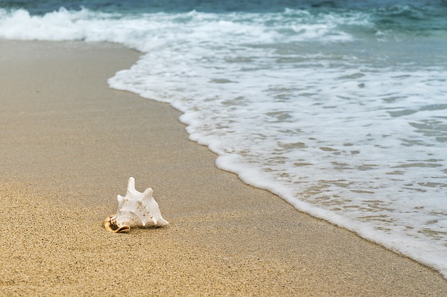YOUR DAILY BREXIT BETRAYAL – Maundy Thursday 18th April 2019