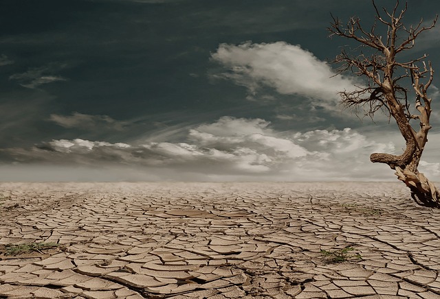 YOUR DAILY BREXIT BETRAYAL – Easter Monday, 22nd April 2019