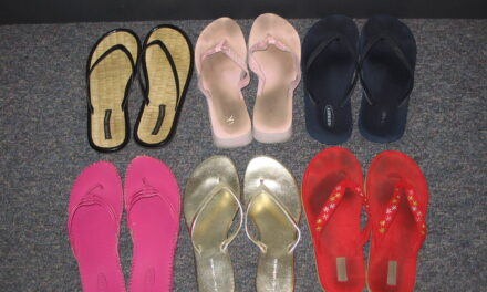 Flippers – can we trust them?