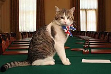 YOUR ONGOING BETRAYAL – Friday 3rd February 2023