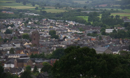 An analysis of the Brecon and Radnorshire by election