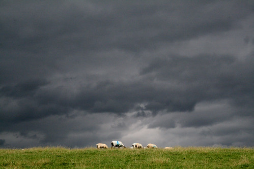 BE AFRAID: THERE’LL BE RAIN AND WIND! Saturday 5th August 2023