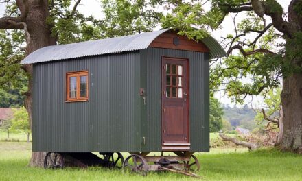 The Shed