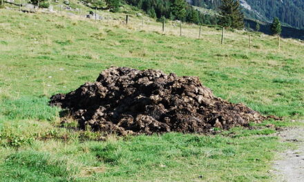 WASTING OUR TAX MONEY: THE STEAMING DUNGHILL OF WOKERY THAT IS THE CIVIL SERVICE. Saturday 23rd September 2023