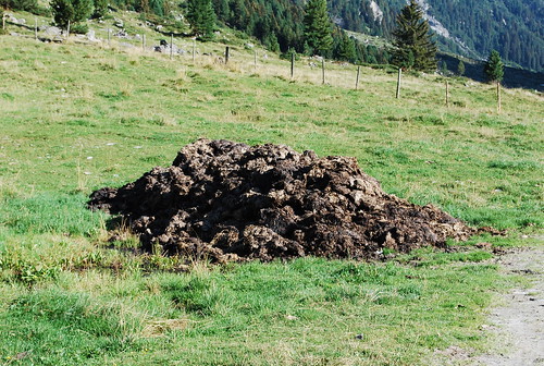 ON THE PERVADING STENCH OF HYPOCRISY – Tuesday 11th July 2023
