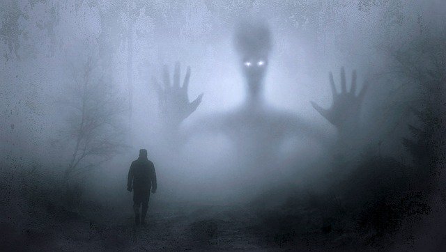 A Christmas tale of two coppers – part 2