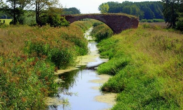 GO AND DIE IN YOUR DITCH, JOHNSON! Friday 16th June 2023