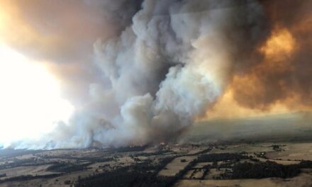 A LETTER TO THE EDITOR – ON THE AUSTRALIAN BUSHFIRES. SATURDAY 11TH JANUARY 2020