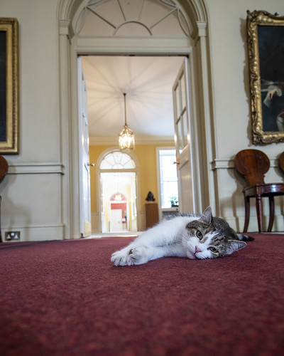 YOUR ONGOING BETRAYAL – Monday 6th June 2022