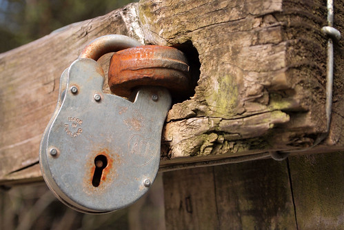 YOUR DAILY BETRAYAL – Wednesday 6th January 2021 – Lockdown Groundhog Day 2