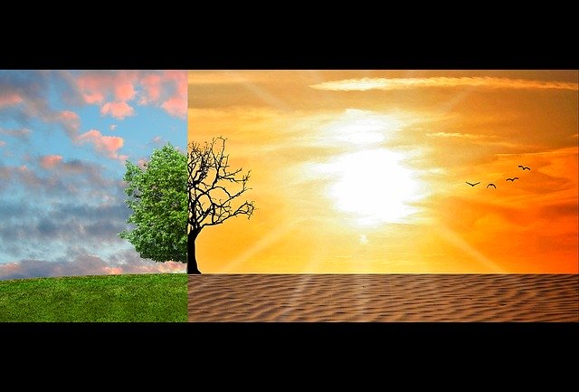 The Science of Global Warming