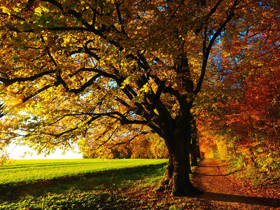 All is well, just dream on – part 1