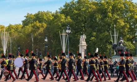 EU Declaration of Economic War on the UK