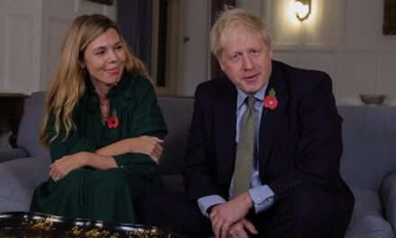 YOUR DAILY BETRAYAL – Thursday 12th November 2020 – 20 Days to the end of Lockdown