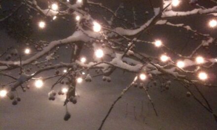 In The Bleak Midwinter Mire