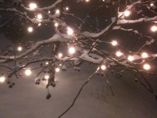 In The Bleak Midwinter Mire