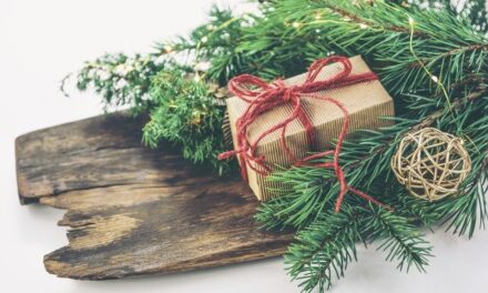 YOUR DAILY BETRAYAL – Thursday 24th December 2020 – Christmas Eve
