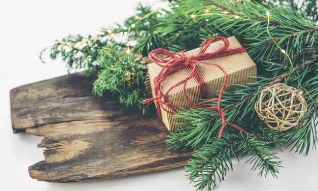 YOUR DAILY BETRAYAL – Thursday 24th December 2020 – Christmas Eve