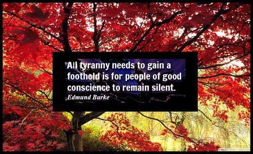 Through Covid Terror to Tyranny