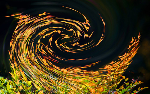 YOUR DAILY BETRAYAL – Friday 18th June 2021 – Twisting in the wind …