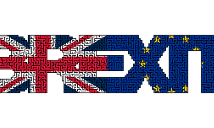 EU REFERENDUM ANNIVERSARY APPEAL