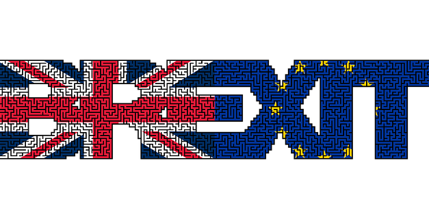 EU REFERENDUM ANNIVERSARY APPEAL