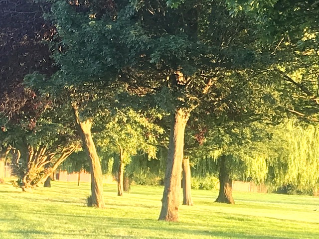 Hello Sunshine – Hello Freedom