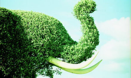 YOUR DAILY BETRAYAL – Monday 20th September 2021 – Pay up to save the Green Elephant