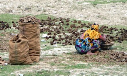 Of virtue and manure