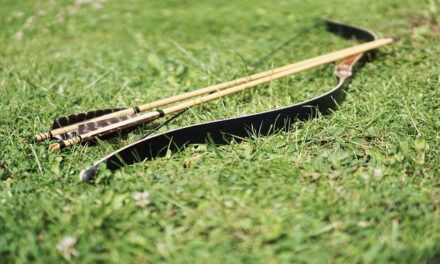YOUR DAILY BETRAYAL – Thursday 14th October 2021 – Running amok with bow and arrows